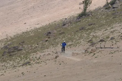 DSC_3067 (Large).JPG